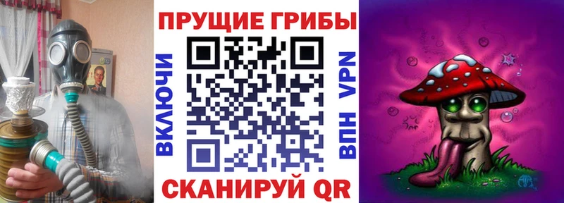 даркнет наркотические препараты  где найти наркотики  Коряжма  Галлюциногенные грибы MAGIC MUSHROOMS 